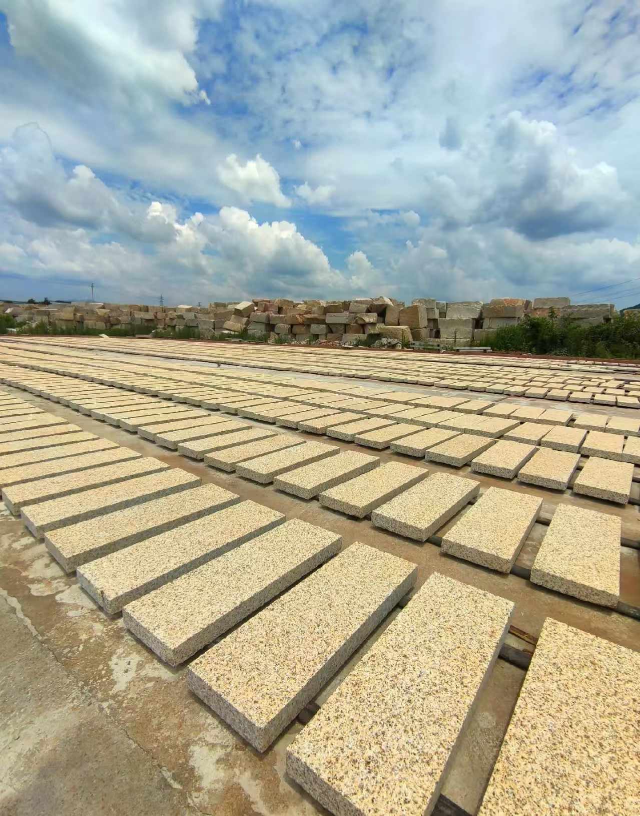 阜阳 黄金麻荔枝面花岗岩石材地铺石防护中