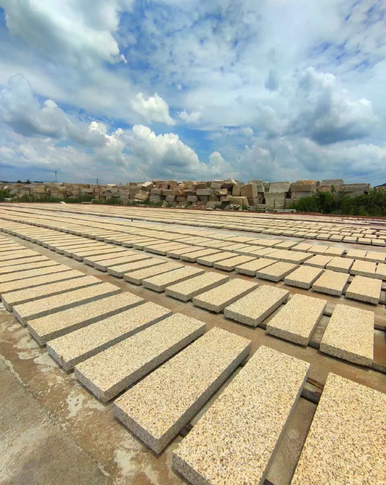 阜阳 黄金麻花岗岩荔枝面地铺石防护中